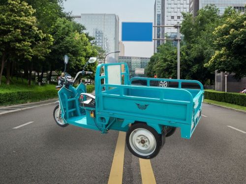 Plaudit E- Cargo- Rickshaw