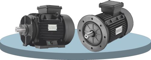 Premium Induction Motor