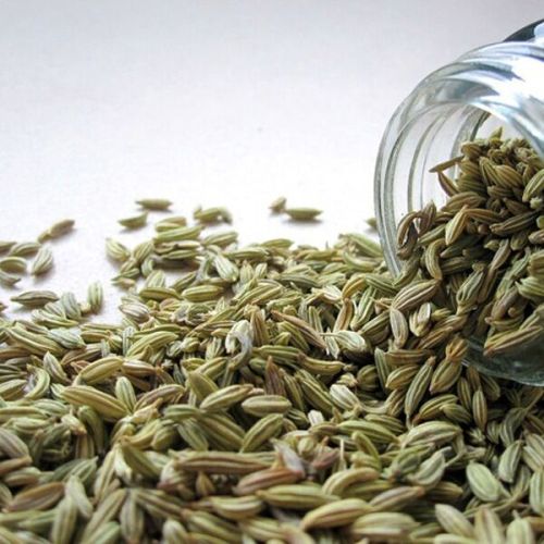 Fennel Seeds, Color : Greenish-brown
