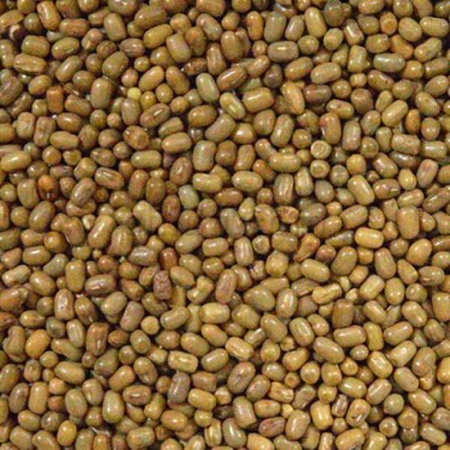 Moth Dal For Cooking