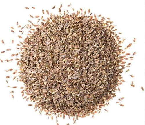 Dill Seed