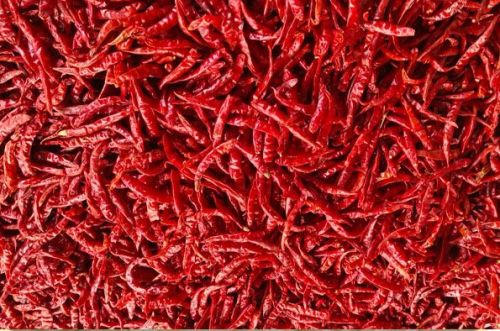 Dry Red Chilli, Packaging Type : Plastic Packet For Cooking, Spices