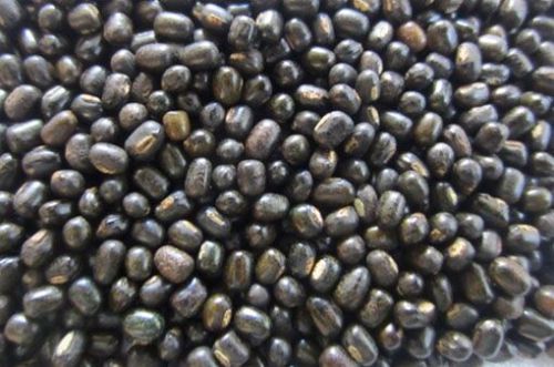 Split Black Gram for Cooking