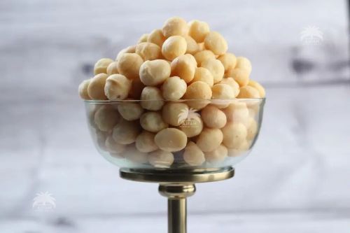 Plain Macadamia Nuts