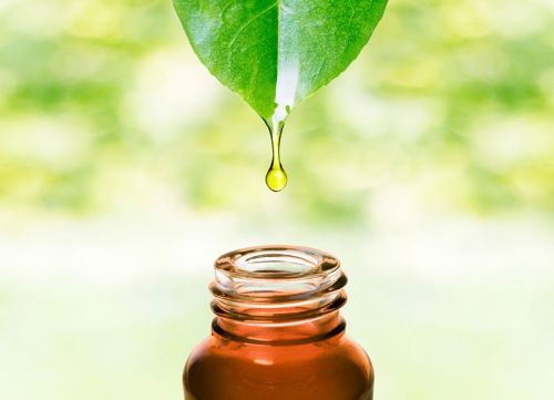 Organic Tea Tree Oil