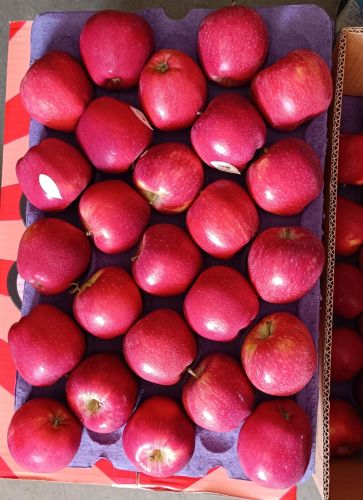 Apple, Color : Bright Red Skin