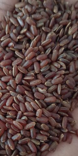 Medium Grain Mappillai Samba Rice, Packaging Size : 25-50kg for Cooking