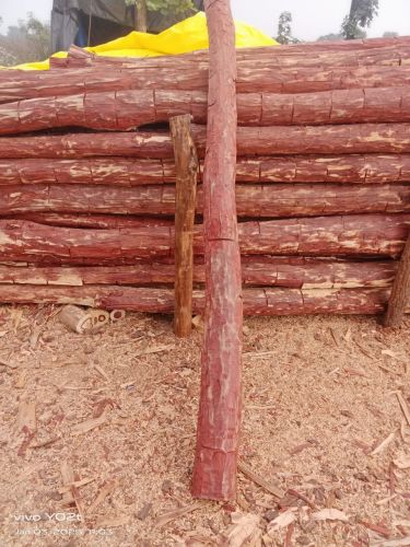 Grinded Red Sandalwood Logs, Shape : Round