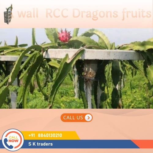 RCC Dragon Fruit Pole, Color : Gray