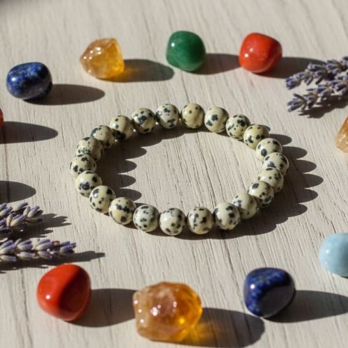 Polished Gemstone 8mm Natural Dalmatian Jasper Beaded Bracelet