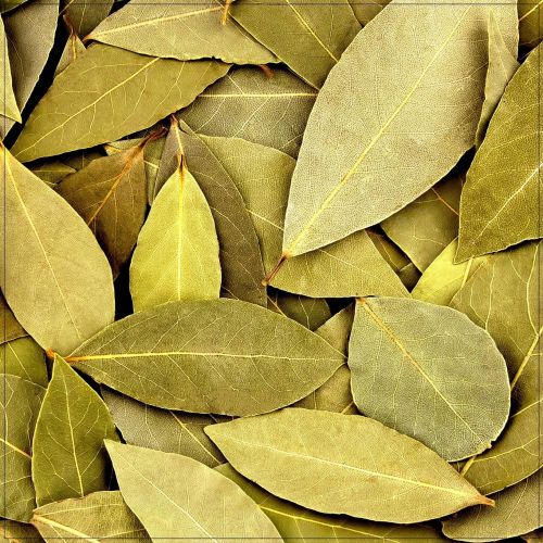 Green Natural Sun-Dried Bay Leaves, Packaging Type : Resealable Pouch