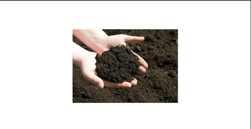All Cow Dung Manure, Form : Powder, Garden using 50 kg