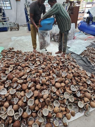 Hard Raw Dried Copra Coconut, Color : White, Purity : 💯