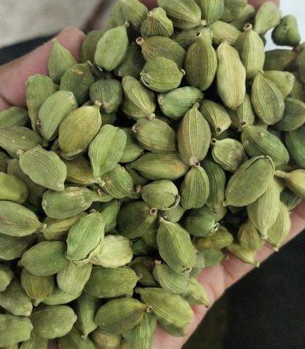 Green Cardamom, Packaging Type : Plastic Pouch