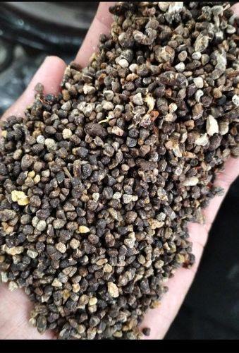 Organic Cardamom Seeds, Packaging Type : Plastic Pouch