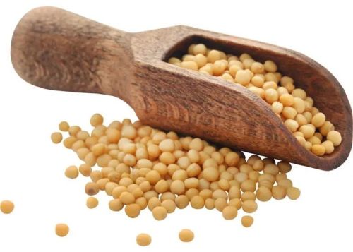 Natural Yellow Mustard Seeds, Packaging Type : Sealed Bags