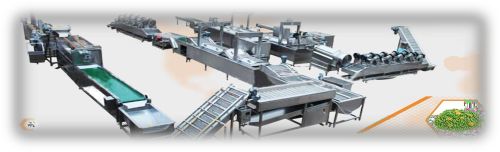 Electric Stainless Steel Frozen Fruit & Vegetable Line Machine