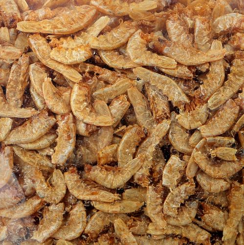 Dried Prawns, Packaging Type : Packet