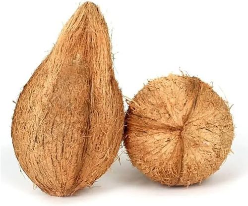 Natural Pooja Coconut, Color : Brown for Sweet Naturally