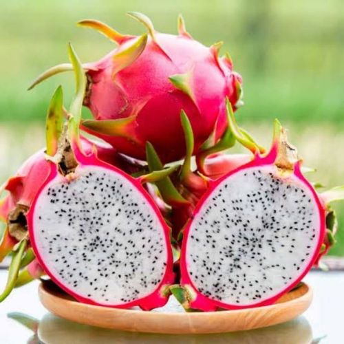 Fresh Dragon Fruit, Taste : Sweet Refreshing