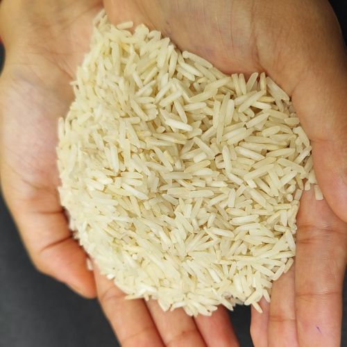Creamy White Short Grain Rice, Packaging Size : 25Kg, 50Kg