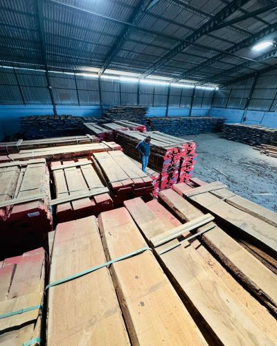 Plain Polished Steam Beech Wood, Color : Golden Brown