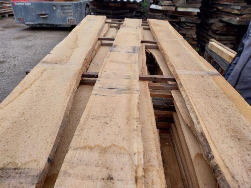 Polished White Oak Wood, Color : Creamy-white