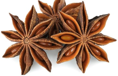 Crunchy Natural Star Anise, Packaging Type : Plastic Bag