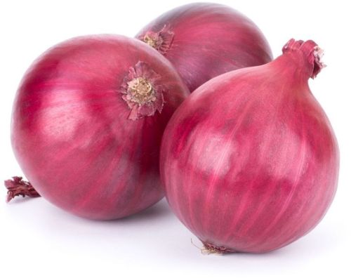 A Grade Red Onion, Packaging Type : Mesh Bags