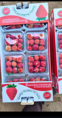Common Fresh Strawberry, Grade : Food Grade for Fruits