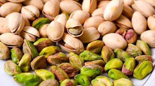 Fandoghi Pistachios for Snacking, Packaging Type : Vacuum-sealed Bag