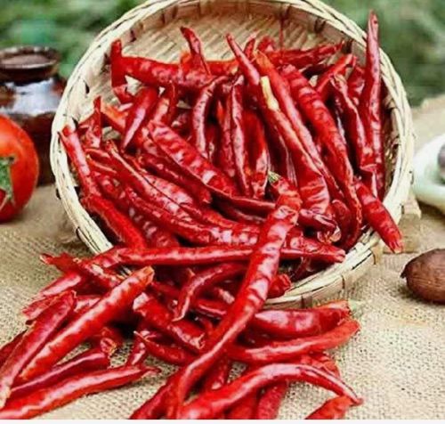 Dried Red Chili, Packaging Size : 50g, 100g