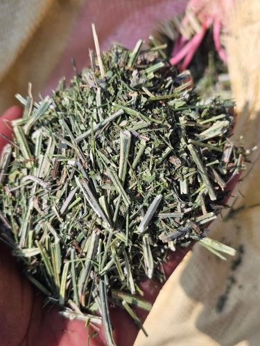 Natural Green Chirayata, Packaging Size : 25kg, 50kg <7%