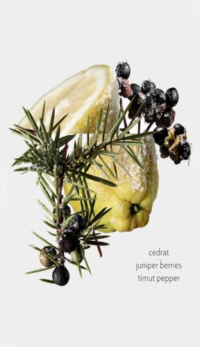 Fragrance Oils, Purity : 99.9%, Packaging Type : Plastic Bottle