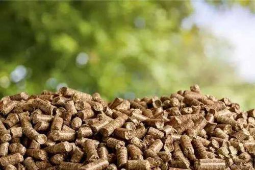 Sustainable Biomass Biofuel Pellet for Heating