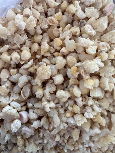 Resin A Grade Asafoetida Crystal, Color : Yellow for Cooking Seasoning