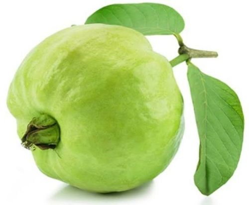 Firm Flesh Fresh A Grade Guava, Color : Green Or Yellow