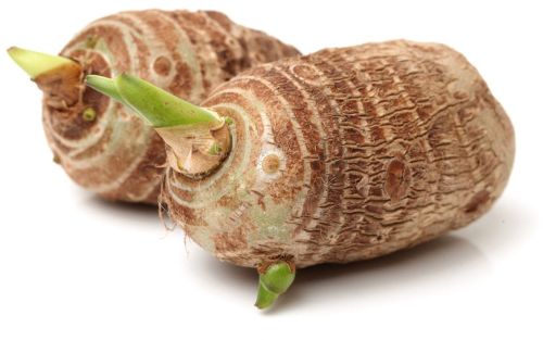 Organic Fresh Chembu Root, Color : Brown Outer, White Inside