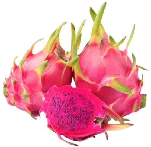 Premium Red Dragon Fruit, Taste : Mild Sweet