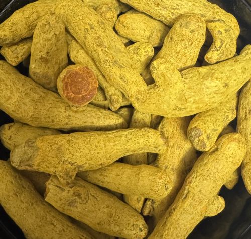 Natural Finger Turmeric, Packaging Size : 50kg