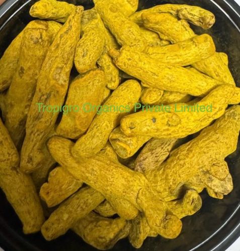 Golden-yellow Organic Nizamabad Double Polish Turmeric