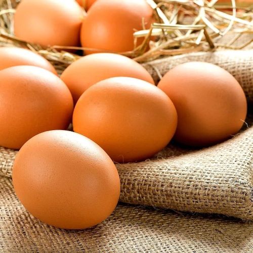 Brown Poultry Eggs, Packaging Type : Carton Box