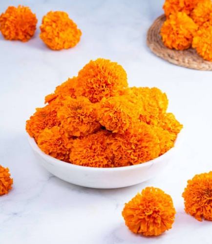 Fresh Orange Marigold Flower, Purity : 98%