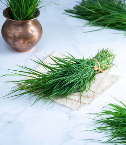 Natural Durva Grass, Color : Green for Pooja Purpose