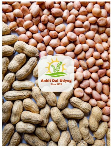 Kernels Raw Peanuts, Shell Type : With or without Shell