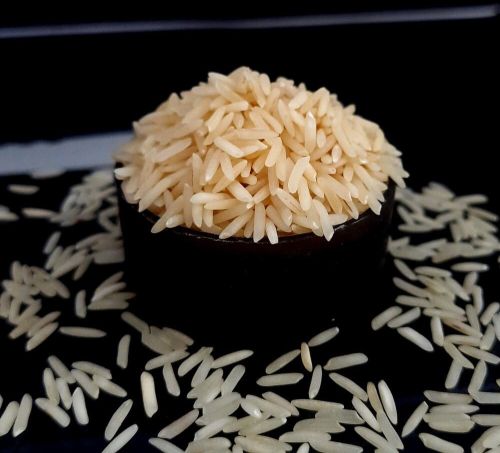 Light Golden Sharbati Non Basmati Rice for Cooking