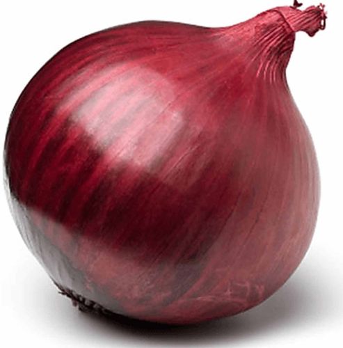 Phule Samarth Late Kharif Red Onion, Packaging Type : Bag
