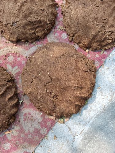 Cow Dung Cake, Color : Brown for Agricultural Religious