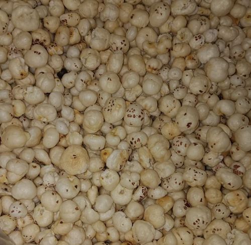 4 Suta Plus Phool Makhana Flakes for Human Consumption