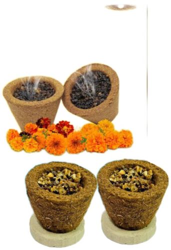 Sambrani Cup, Color : Brown for Aromatic, Religious, Spiritual Use